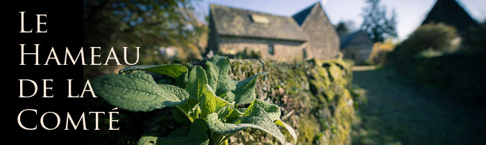 La Comté