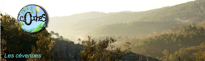 Les Cévennes