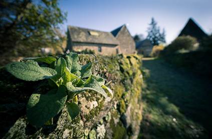 La Comté