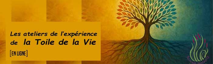 La Toile de la Vie